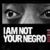 I Am Not Your Negro