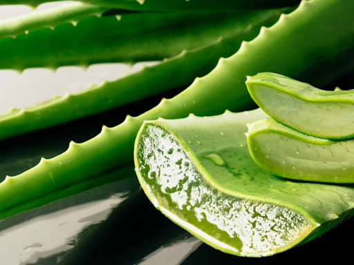 Bid goodbye to summer skin problems with aloe vera - Times of India