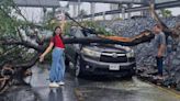 Cae árbol sobre su camioneta y ella sonríe para la foto en Monterrey; se hace viral