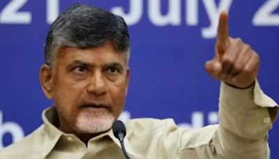 Stung by Supreme Court’s laddu remarks, Naidu’s TDP doubles down: ‘Stand by what we said’