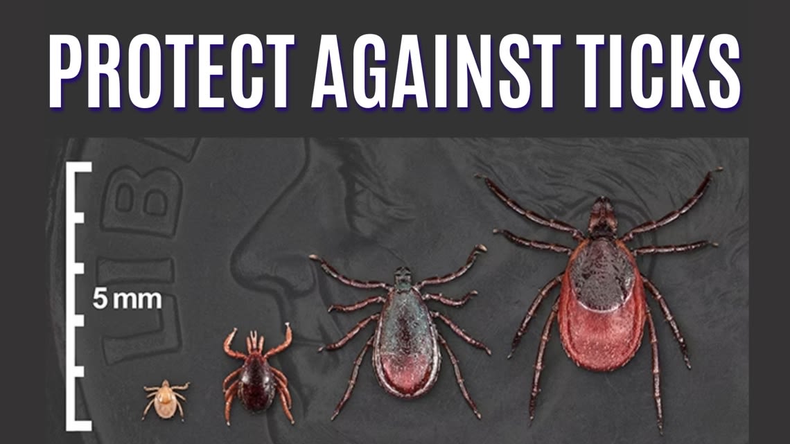 What 2 Know about tick season in WNY