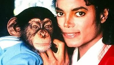 ¿Qué fue de Bubbles, el chimpancé de Michael Jackson?