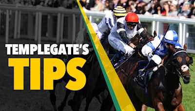 Templegate's 13-2 NAP is open to huge improvement on Derby day at Epsom