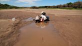 Se seca el río Bravo, peligra el pez carpa chamizal