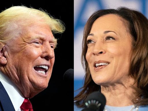 Historian who correctly predicted 9 out of last 10 presidential elections gives his take on Harris vs. Trump