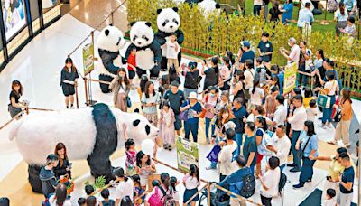 國寶急增 大熊貓經濟成谷市良機 學者指熊貓展現香港特色助添經濟內涵 | am730