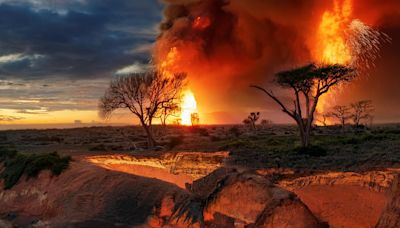 Cómo fue el mega El Niño que provocó la mayor extinción masiva de la historia: “No había dónde esconderse” - La Tercera