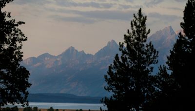 Grizzly bear pepper sprays itself while mauling hiker