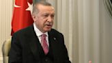 Turkey: 11 detained over tweets dealing with leader's family