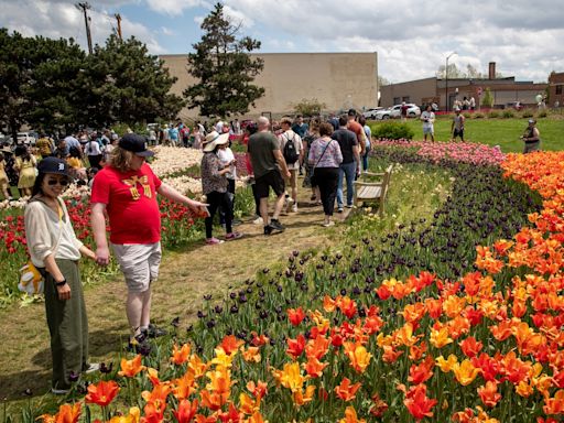 See photos as the 95th Tulip Time Festival kicks off in Holland