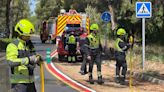 El Ayuntamiento de València pone en marcha una campaña para prevenir y actuar ante un incendio este verano en la Devesa de El Saler