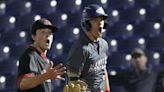 Baseball: Hartley Hawks overcome midseason lull to reach OHSAA Division II state semifinal