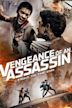 Vengeance of an Assassin