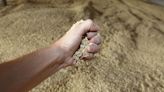 EU approves increase in tariffs on Russian grain imports effective July