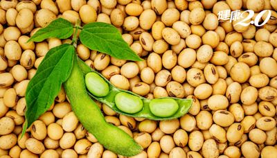 毛豆減肥法怎麼吃？蛋白質比雞蛋高！ 毛豆超強7大營養功效