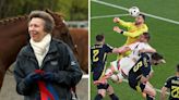 Princess Anne and Hungarian footballer Barnabas Varga are both in hospital with concussion - so what is it?