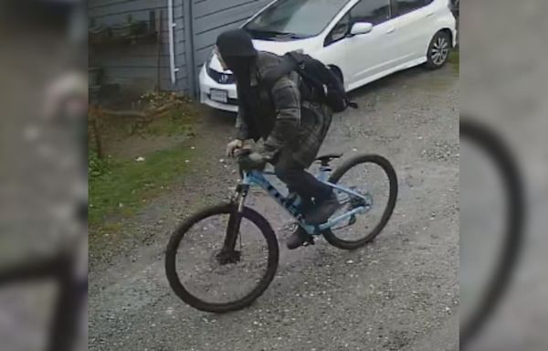 Vancouver police release photo of suspect in alleged child luring case