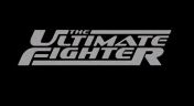 12. Ultimate Fighter: Heavyweights Finale