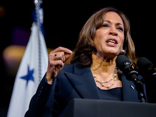 Within nation’s largest Black Protestant group, what's driving support for Harris campaign