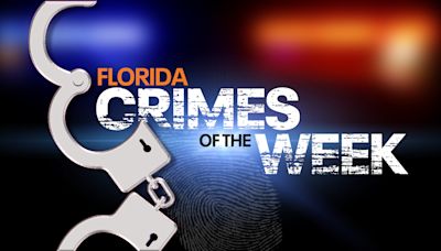 Florida Crime Files: Walgreens pharmacist robbed at gunpoint, man accused of stealing steaks at Walmart