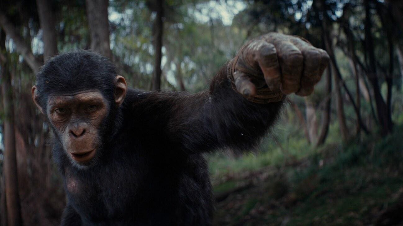 Interview: Weta Talks ‘Kingdom Of The Planet Of The Apes’ Oscar-Worthy VFX