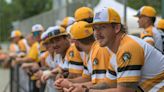 'Baseball is life': Lightning players give up their summers to play in Leesburg