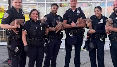 Police rescue 6 puppies from woman who stuffed them into hot backpack