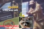 Run fur your life! Licensed gun owner fires at raccoon that chased after him in NYC: video