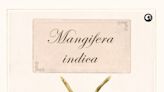 Book Review: Sopan Joshi's 'Mangifera Indica' Is A Treat For Mango Lovers