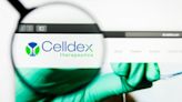 Celldex Therapeutics Skids As It Takes On A Blockbuster Roche, Novartis Drug