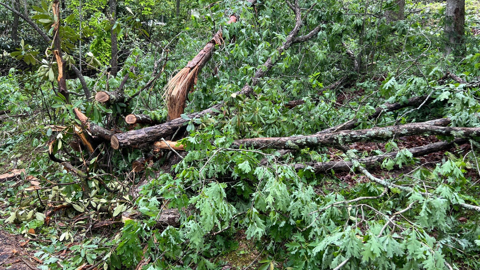 Crews clear storm damage at Hungry Mother State Park, road briefly blocked