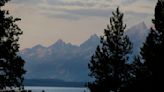 Grizzly that mauled hiker in Grand Teton National Park won't be pursued