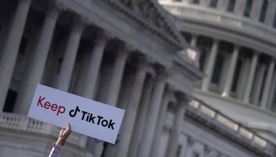 As TikTok sues to stop potential ban, Steven Mnuchin warns legal fight may prevent him from buying the app