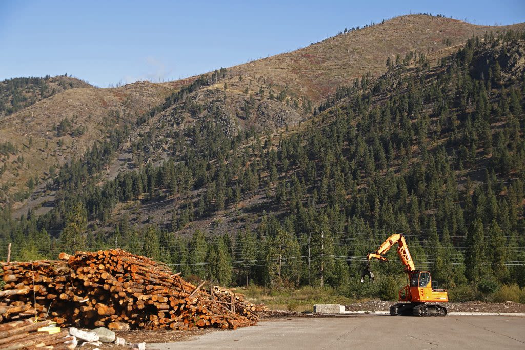 Montana gets federal grant to retrain laid off lumber workers