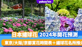 日本繡球花2024｜繡球花開花預測！一文睇清東京/大阪/京都賞花...