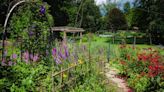 Summit Metro Parks offers native plants for sale, education at Native Plant Festival