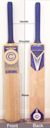 Cricket bat