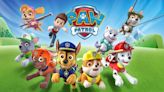 What Are the Dog Breeds of the Paw Patrol Characters?