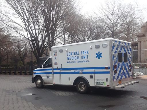 Misterio por cadáver hallado en famoso Central Park de Nueva York - El Diario NY