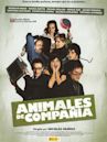 Animales de compañía