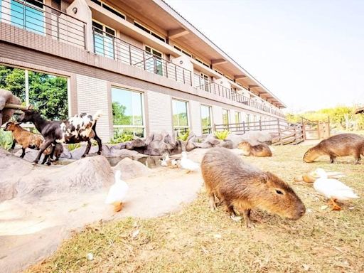 兒童連假未滿6歲免費入園六福村 加碼同行家人再享全民學童價 | 蕃新聞