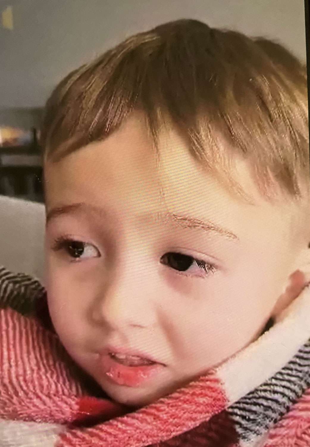 Remains of Elijah Vue, 3, Found in 'Thick Wooded Area' After Nearly 7 Months Missing: 'Devastated'