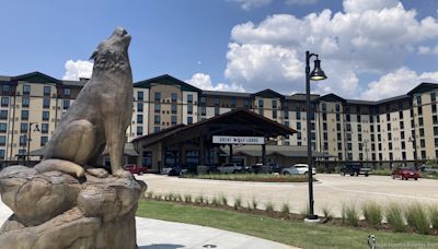 Highly anticipated Great Wolf Lodge opens after chemical scare - Milwaukee Business Journal