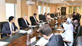 Finance minister holds zoom meeting with Moody’s reps