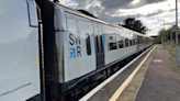 Rail services disrupted after tree blocks line