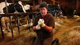 Veterinarian shortage is killing Maine livestock