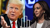 Harris Takes Lead Over Trump In Key States Of Michigan, Wisconsin And Pennsylvania: New Poll