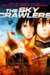 The Sky Crawlers (film)