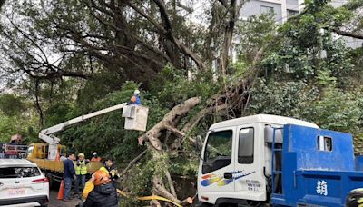 路樹電桿倒塌壓死女騎士 新竹市府拒國賠