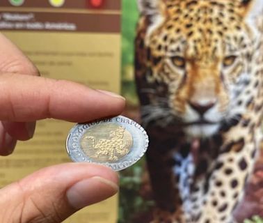 El Zoológico de Chapultepec estrena máquina de monedas conmemorativas: así puedes obtenerlas